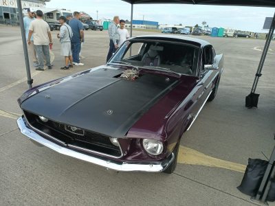 1967 Mustang Fastback · Robert Schneeberger